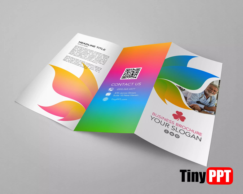 Education Brochure Templates Google Docs