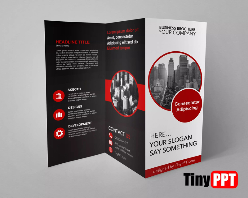 Google Slide Trifold Brochure Template