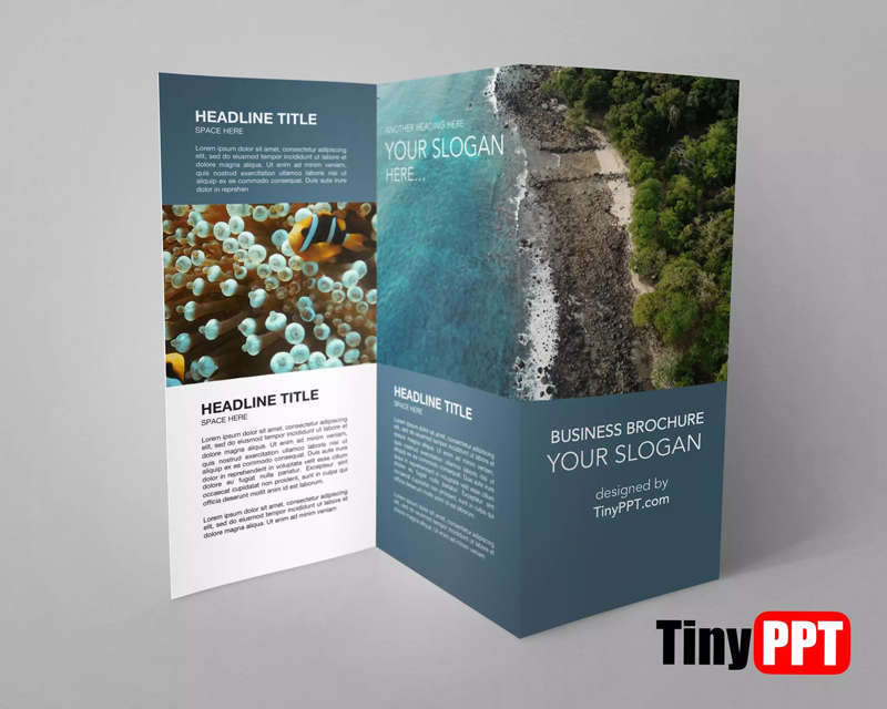 Google Drive Trifold Brochure Template