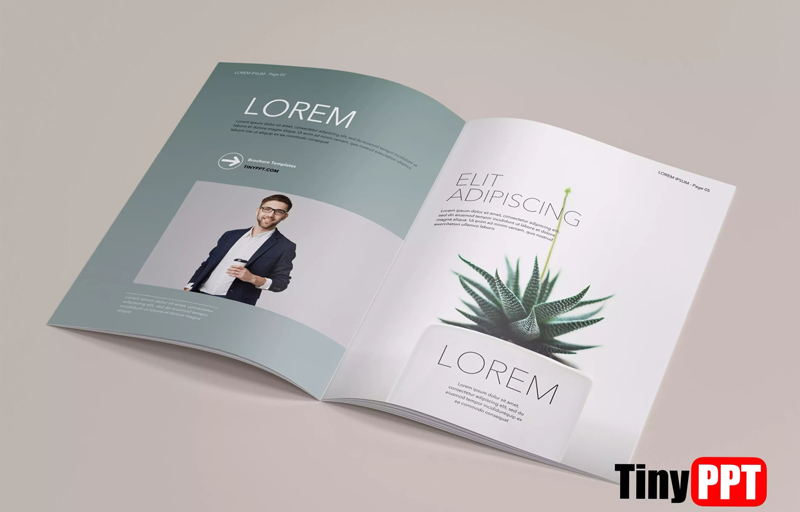Pamphlet Template Google Slides