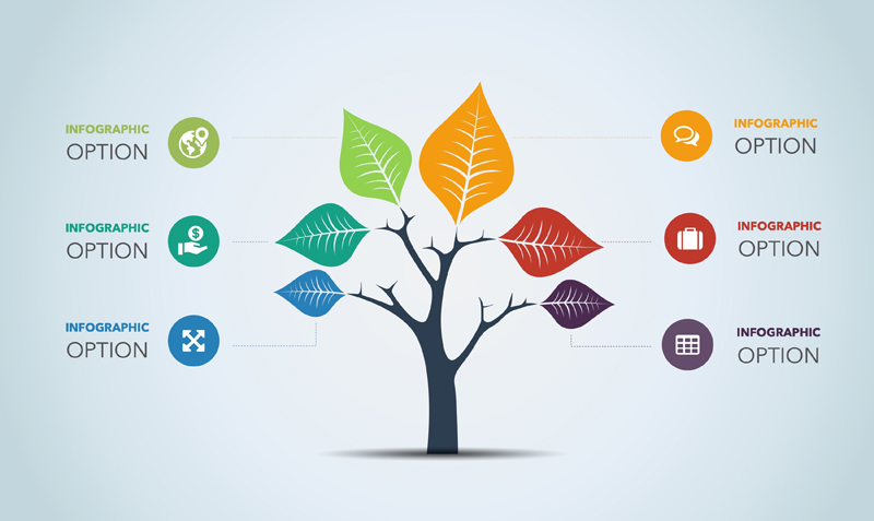 Tree Relationship Hierarchy Infographic Concept Tree Relationship Hierarchy Infographic Concept