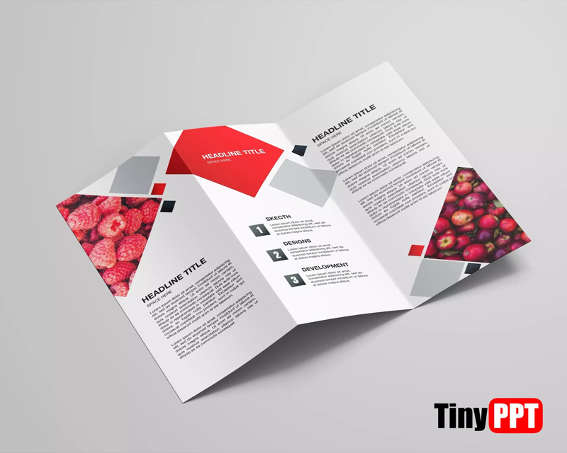 Powerpoint Brochure Template Tri Fold