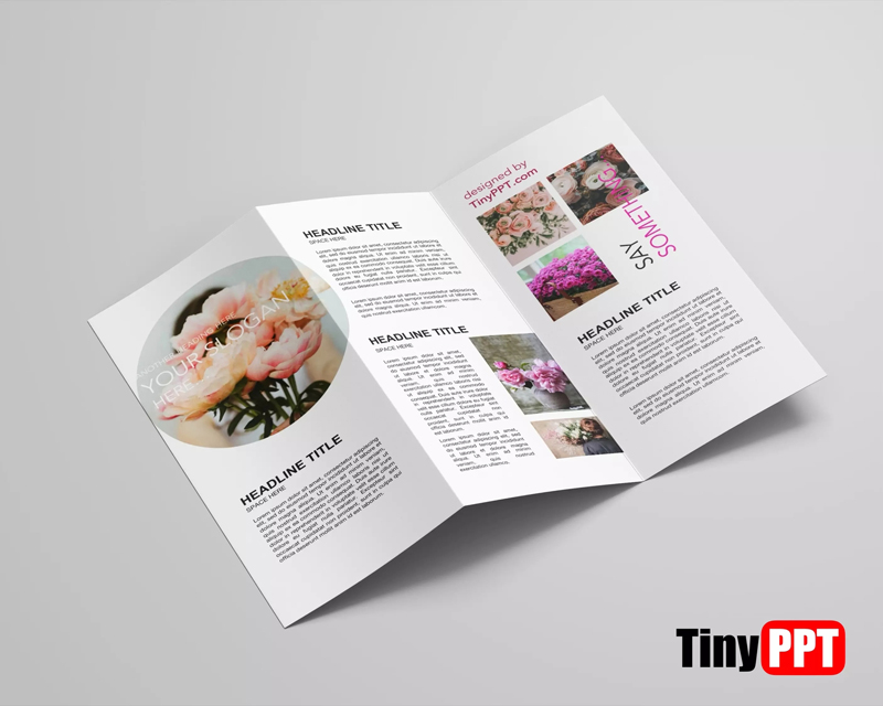 Google Docs Brochure Template Tri Fold – TinyPPT